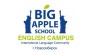 BigAppleSchool